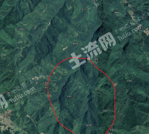 汉中南郑区 7385亩 有林地 转让