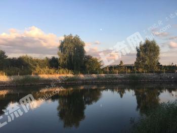 哈尔滨阿城区 6000平米 农村宅基地 使用权出租