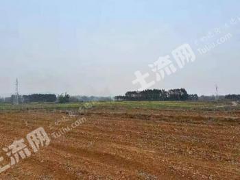 贺州平桂区 2000亩 水田经营权 出租