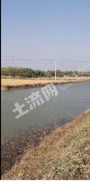 南京江宁区 50亩 坑塘水面 经营权出租