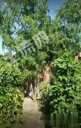 张家口桥东区 200平米 农家庭院 使用权出租