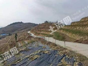 黔东南三穗县 1000亩 水浇地 经营权合作