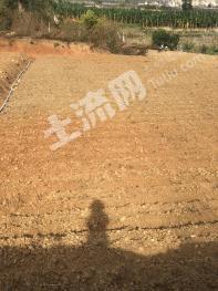 玉溪新平彝族傣族自治县 80亩 水田 经营权出租