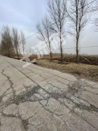 锦州黑山县 1142.43亩 旱地 经营权出租