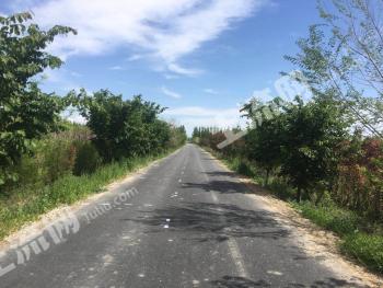 新疆塔城额敏县 2502.08亩 水浇地经营权 转让