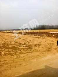 河南开封500亩有林地经营权出租