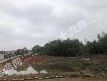 长沙开福区4亩林地-有林地经营权出租