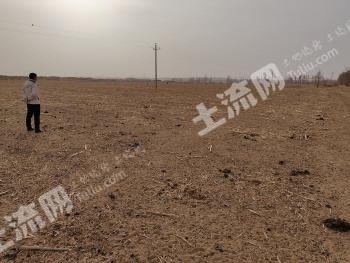 鄂尔多斯乌审旗 800亩 水浇地经营权 转让