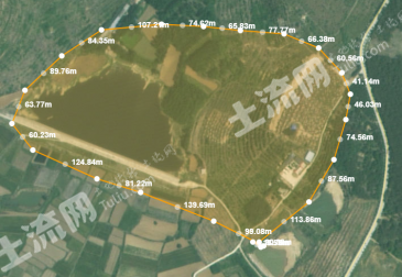 信阳平桥区 239.95亩 乔木林地 经营权出租