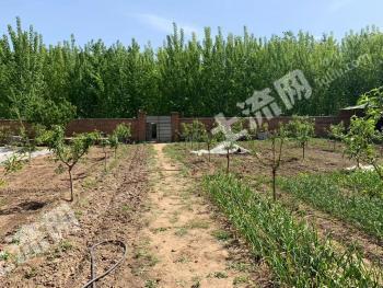 北京通州區(qū) 500平米 農(nóng)村宅基地 使用權(quán)出租