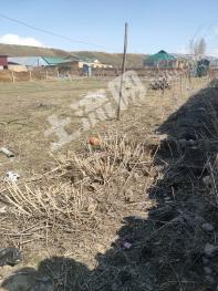 新疆伊犁新源县1600平方米农村宅基地使用权出租