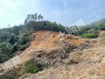 清远佛冈县7875.44亩有林地经营权转让 土地租金全部已付清 随时可过户