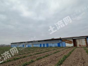南通启东市6亩畜牧养殖用地 经营权出租