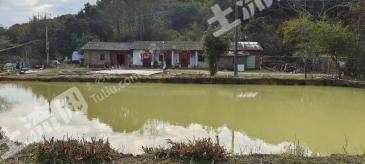 河源东源县 105亩 果园 经营权转让