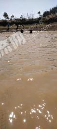 湖南衡阳 24.02亩 水产养殖用地 经营权转包