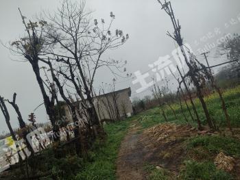 西安阎良区 120平米 农村宅基地 使用权出租