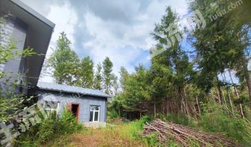 哈尔滨尚志市 58亩 有林地 经营权转让