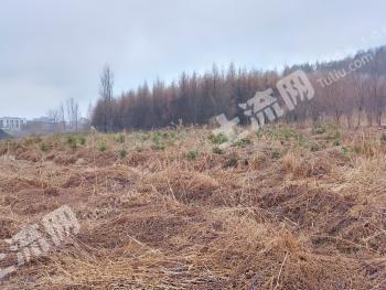 白山靖宇县26903平米综合用地使用权转让