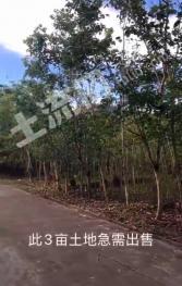 德宏瑞丽市 3.22亩 旱地 经营权转让