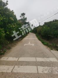 阳江阳东区38亩果园经营权转包