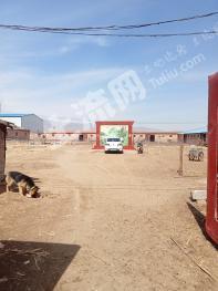 大同阳高县 13亩 设施农用地 经营权转让