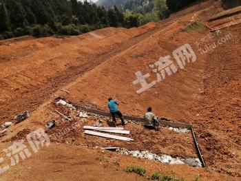 铜仁思南县 150亩 水田 经营权合作