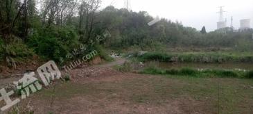 金华兰溪市 50亩 农场 使用权出租