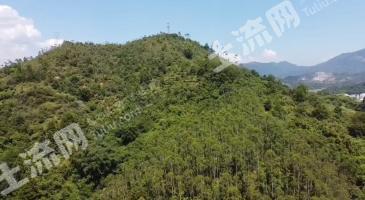 肇庆封开县40.08亩有林地经营权转让