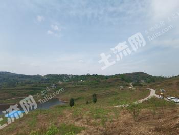 四川达州 4000亩 其它耕地 经营权出租