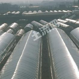 安徽滁州南谯区12.5亩蔬菜地及大棚设施转让