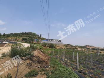 泰安肥城市 351.95亩 农场 使用权转让
