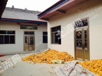 渭南合阳县 15亩 旱地 出租