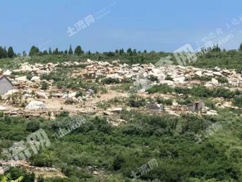 潍坊临朐县 1200亩 荒山使用权 出租