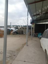 烟台招远市300亩其它园地经营权转让