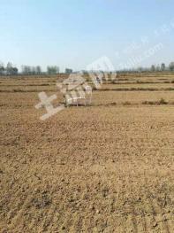 驻马店遂平县 3200亩 水浇地 经营权转让