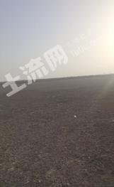 巴音郭楞和静县137亩畜牧养殖用地经营权转让