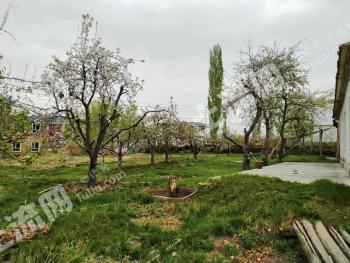 乌鲁木齐米东区3000平米农村宅基地使用权出租