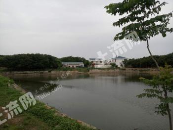 鄂州梁子湖区 100亩 农场 经营权  转让