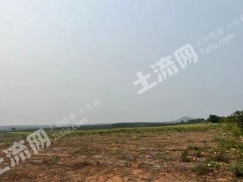 海南昌江黎族自治县 2704.68亩 旱地 经营权出租