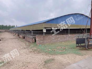 开封鼓楼区 22亩养殖用地-畜牧养殖用地 经营权出租