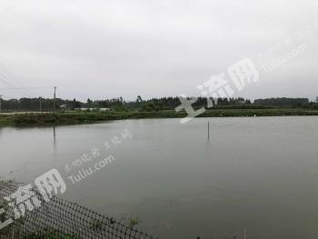 贵港覃塘区 19.91亩 坑塘经营权 出租