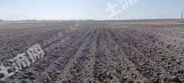 白城通榆县2100亩旱地经营权转让