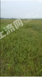 通辽扎鲁特旗150亩水浇地经营权转让