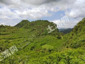 遵义汇川区 291.82亩 农场 使用权转让