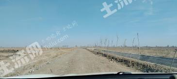 包头土默特右旗 13000亩 水浇地 经营权出租