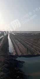 新疆铁门关市 1000亩 水浇地 经营权合作