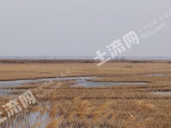 大庆肇源县20000亩坑塘经营权转让