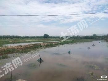 安徽合肥 50亩 水产养殖用地经营权出租