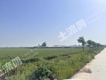 南阳邓州市 16.39亩 畜牧养殖用地 经营权转让