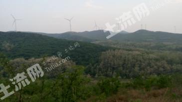 锦州凌海市 3000亩 有林地 转包